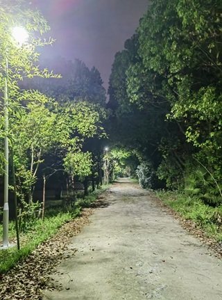 These are some solar lights projects completed by Jiangsu Yujun Lighting.